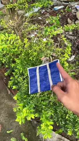 Có miễn ship thì ae lụm #caucatunhien #caucagiaitri🎣 