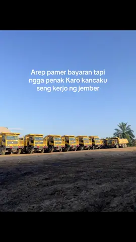 Mek guyonnnn mas😭🙏@mas brian30 @Opet²²plnduk @WILSEN AGATA  #tambanghitz #tambangbatubara #tambangkalimantanselatan #fyp #jember24jam 