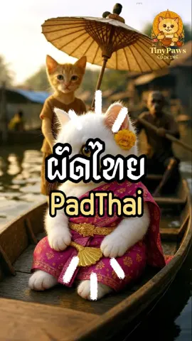 ผัดไทยจานนี้...เหมียวตั้งใจมากนะ! 🍤แต่กุ้งหายไปตัวนึงไม่รู้ไปอยู่ไหน 😹🍤 #trending  #CatTok   #tiktokviral #cat #อาหารไทย