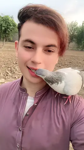 @👑Sufyyanafd555👑 #foryoupage #foryoupage #viralvideos 