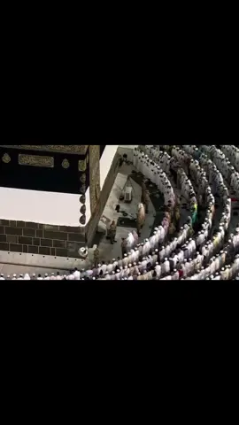 تلاوة‏ خشعَت لها الجوارِح واستطابَت بها الجروح!❤️‍🩹 #ماهر_المعيقلي #سورة_مريم #تلاوات #الحرم_المكي #قران_كريم 
