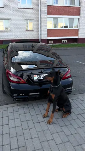 #cls #mercedes #amg #cls218 #cls63amg 