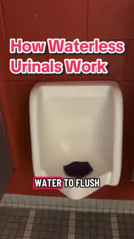 Any other questions? Let me know in the comments and I will do my best to answer.  Explaining how our waterless urinals work. Yes, they smell. Yes, they clog up from buildup. Yes, we hate them. 🥲  Also I hate the sound of my own voice so you all can cringe with me.  • #cleaning #janitor #asmr #bathroom #gross 