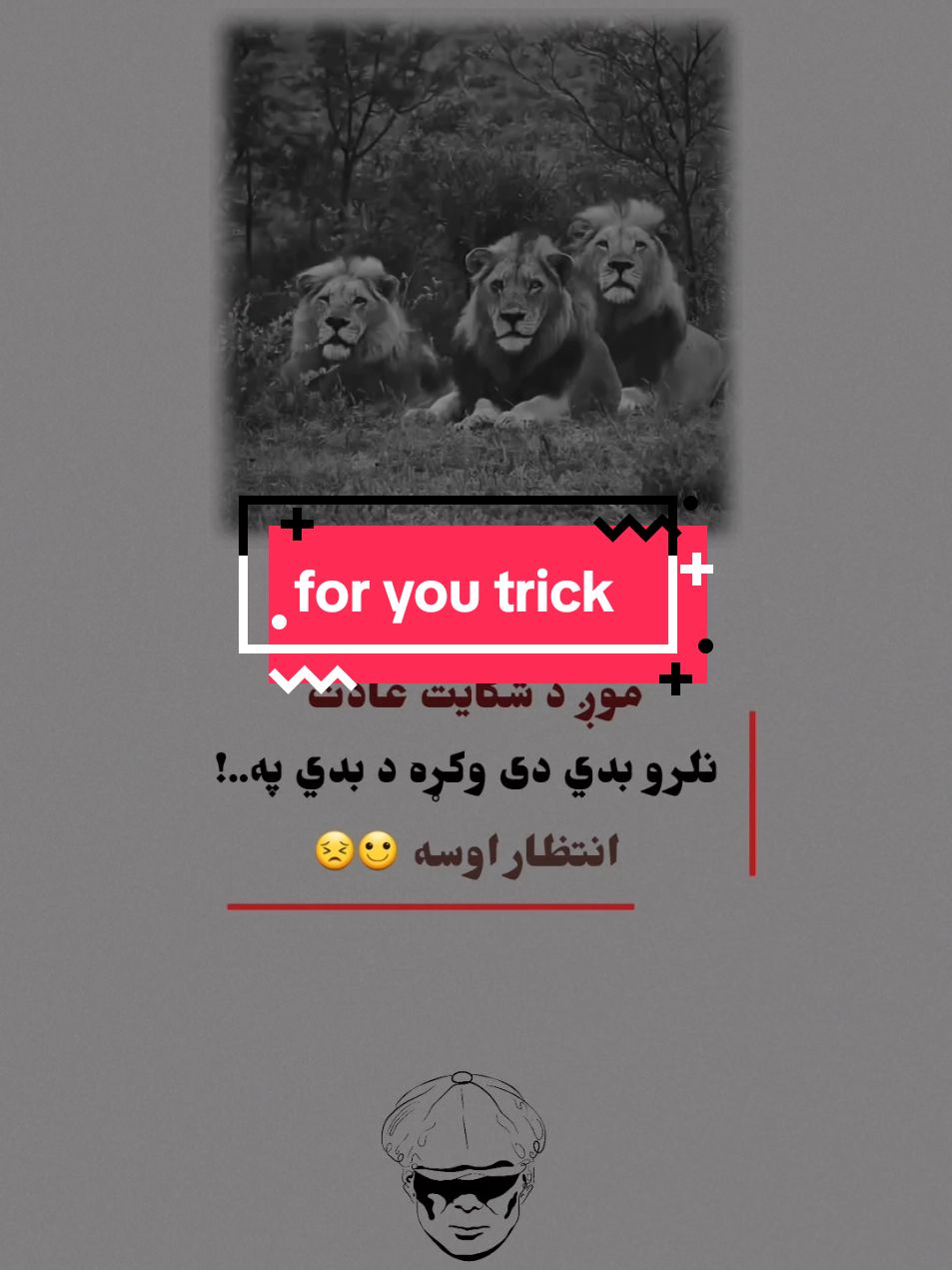 🤞😼#sadpoetry #foryoupage #viralvideo #trinding #unfrezzmyaccount #fypシ゚ 