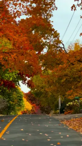 #autumn #autumnvibes #fall #october #foryou 