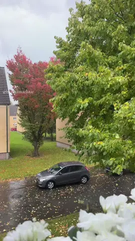 #العطاء_سر_السعادة #المغرب🇲🇦تونس🇹🇳الجزائر🇩🇿 #الحمدلله_دائماً_وابداً #شعب_الصيني_ماله_حل😂😂 #اطاليا_المانيا__فرنسا❤❣ 