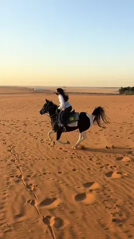 🐎🤎