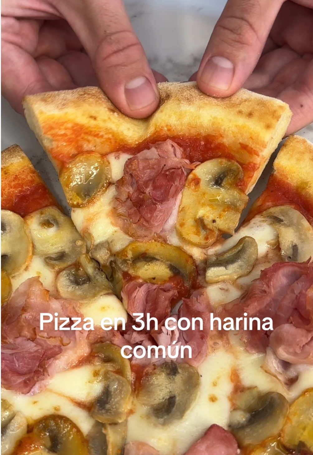 Pizza en 3h con harina de trigo común #Pizza #paratii #pizzalover #pizzatime #fyp 