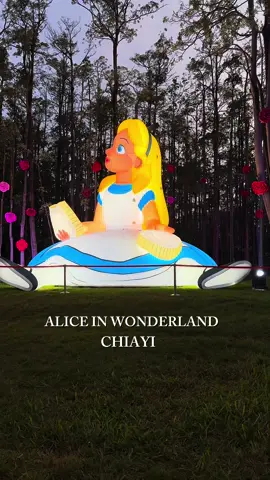 ALICE IN WONDERLAND👋😎📸 Warga chiayi jangan lupa kesini!sudah buka dan masuknya jga free😍 📍 No. 600號, Wenhua Rd, West District, Chiayi City, 600 #alicewonderland#chiayi#fypage #fyp#tkitaiwan 