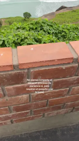 #flypシ #paratiiiiiiiiiiiiiiiiiiiiiiiiiiiiiii boniitoooo🤭 @jheremyyy 