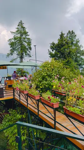 Alpine 🌲 The coolest ❤️ #foryou #foryoupage #alpine #nathiagali #resort 