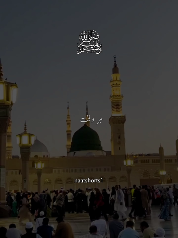 ہر وقت تصور میں مدینے کی گلی ہو  #naatstatus #islamic_video #unfreezemyaccount #fyp #foryoupage 