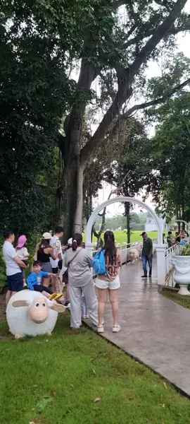 เที่ยวสตาร์ดอยฟาร์มแกะเขาใหญ่ได้ฟิลต่างประเทศ#ฟาร์มแกะเขาใหญ่ #คาเฟ่ที่มีแกะมากที่สุด #ที่เที่ยวเขาใหญ่ #คาเฟ่ฟาร์มแกะ #คาเฟ่สัตว์เลี้ยงเข้าได้ 