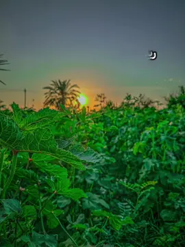 العلاقات مهمة ♥️ #السودان #sudanese_tiktok #خواطر #العلاقات #اكسبلورexplore 