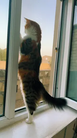 😀😀😀🐾💋💋