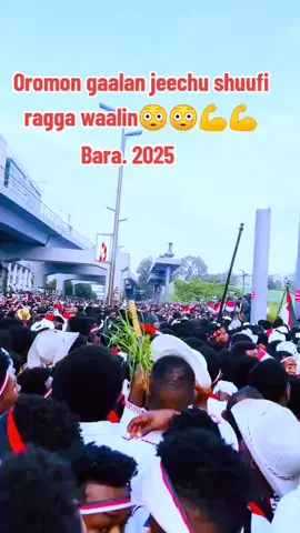 #oromotiktok❤️💚❤️oromiy❤🖤🤍 #ethiopian_tik_tok🇪🇹🇪🇹🇪🇹 #happynewyear2018 #onthisday❤️❤️❤️ #creatorsearchinsights @king Finfinee @Tesfaye-የሃርርጌው @friday9Os🔥 