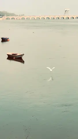 و لسه بيجري و يعافر 
