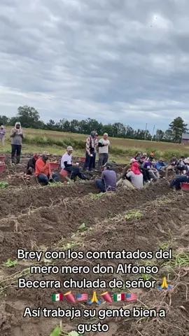 #sweetpoteto🍠 #parati #contratados🇲🇽 #adisantos #trabajosdelcampo 