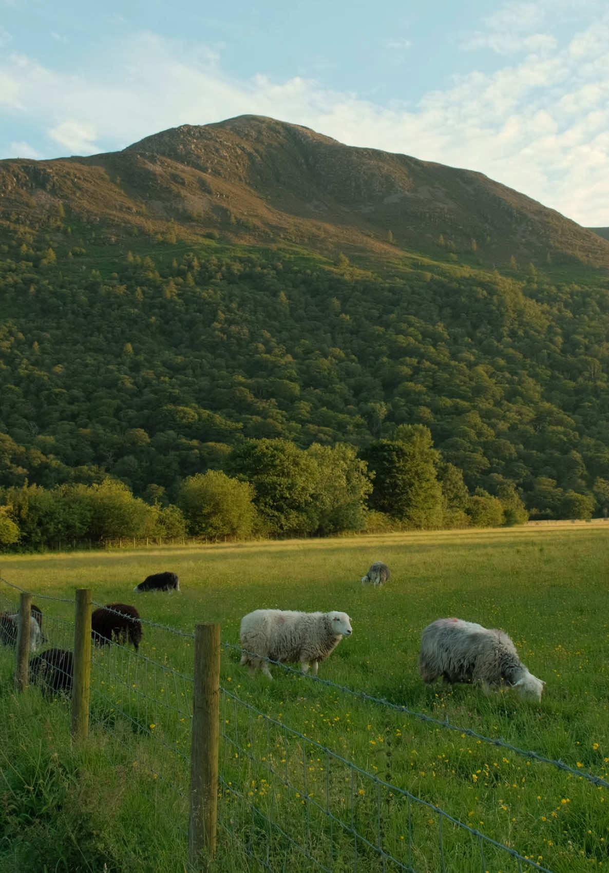 Evening walk in the Lake District to relax  #fyp #england #autumn 