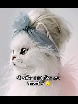 হ্যাঁ আমি পাষাণ....!🙂❤️‍🩹#fypシ゚ #foryou #foryoutrick #Bangladesh🇧🇩 #fppppppppppppppppppp @TikTok @TikTok Bangladesh 