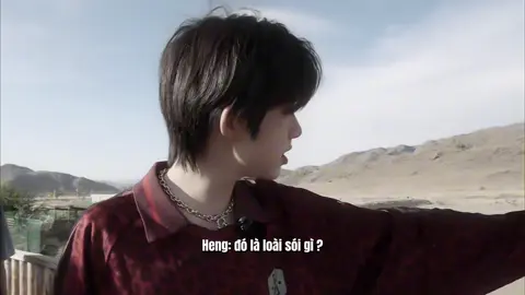 08 | #trươngquếnguyên #trầndịchhằng #nguyenhang #桂恒 #xh 