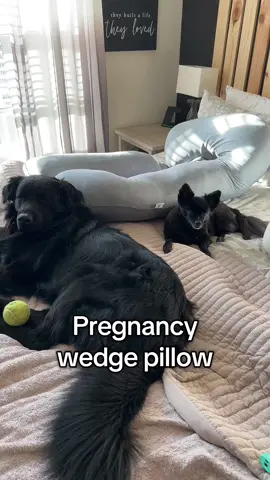 Swap your huge pregnancy pillow for the pregnancy wedge pillow  #tiktokshopfalldealsforyou #tiktokshopcreatorpicks #pregnancywedgepillow #pregnancypillow #pregnant 