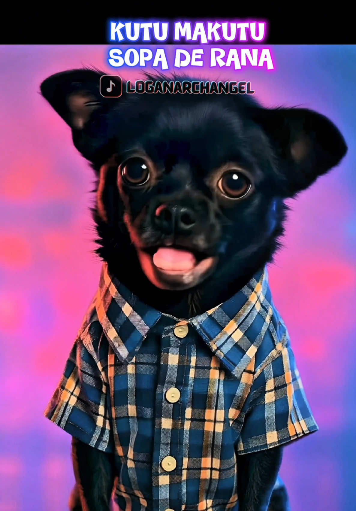 Respuesta a @Roberto GarcíaCas Una variante del Meme #kutumakutu #perritos #kutumakutusong #perritostiktokers #chihuahuastiktok 