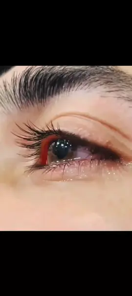 مھنجی ء وجود کان بیزار مائھو مھنجی موت تی جوں روءیندا 🥹💔😭🗣️🥺............,.🥹💔😭🗣️🥺❤️‍🩹👀#محبت_کی_اتنی_سزا_🥹🥺 #لاصحلامحبت😕🥀☹️ #bukumajmsyarifsahida #لاصحلامحبت😕🥀☹️💔💔 #🥹😩😩🥀😩😩 