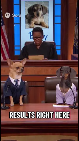 The results are in #chihuahuastiktok #dogs #ai #youarethefather #maury 