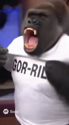 Bro went crazy😂 #maury #gorilla #sora2 