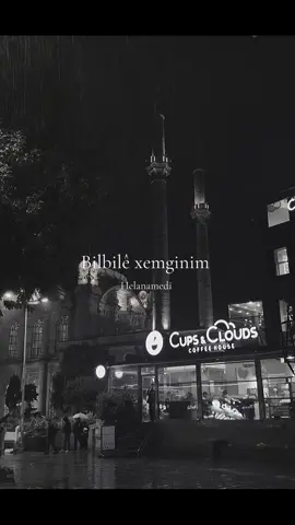 🥀🎶 #fyp #kurdish #kurdistan #🎶 #kurdishtiktok 