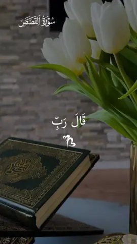 #CapCut #قران #قرآن_كريم #احمد_العجمي #اللهم_صل_وسلم_وبارك_على_نبينا_محمد🌹💙 