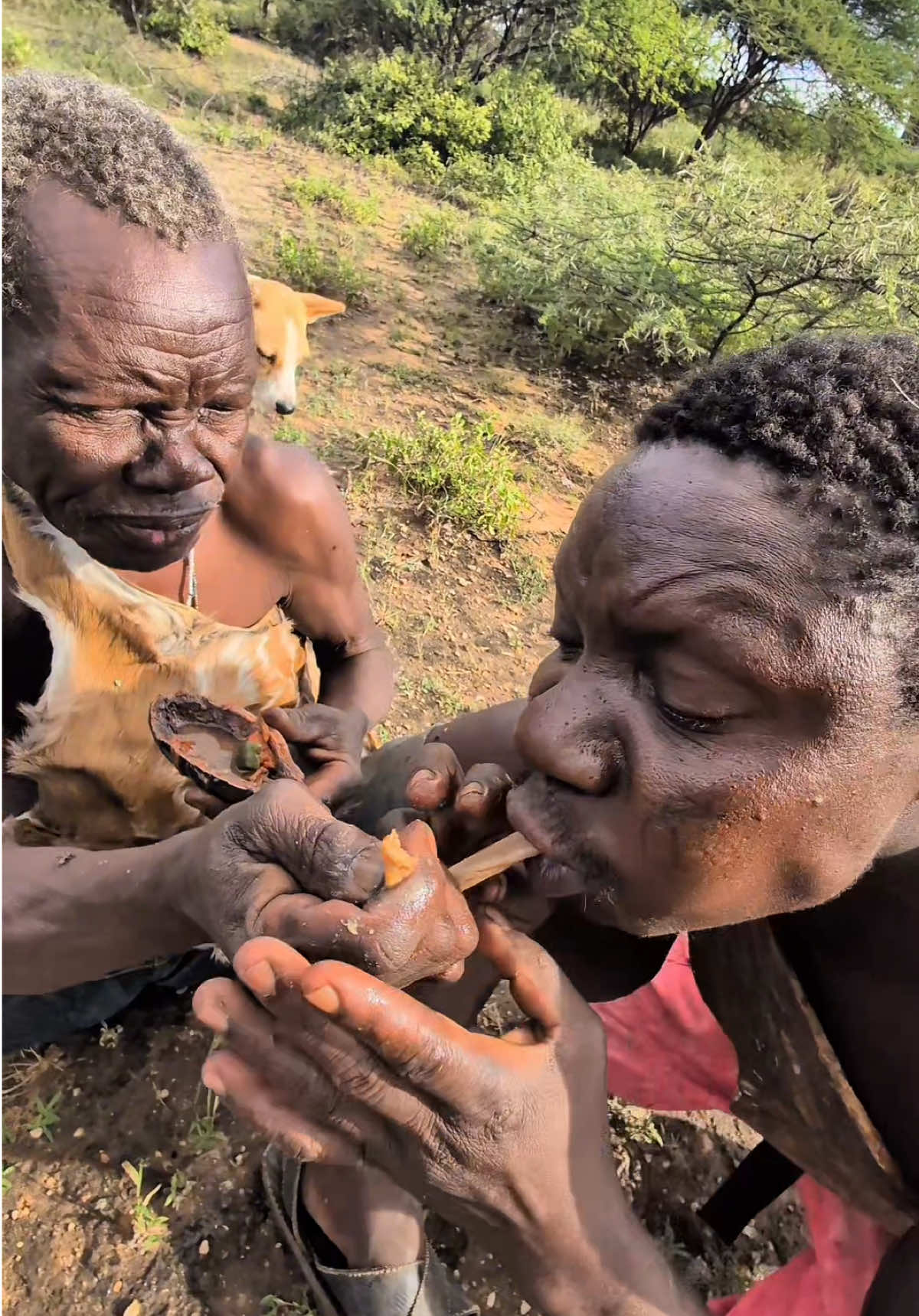 The tempting tribal cuisine is also loved by children#hadzabetribe #foryoupage #FoodLover #cooking #chaaba 