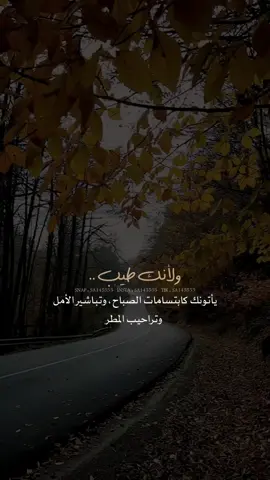ولأنك طيب يضع الله في طريقك الطيبين 🤍🤍 #مساء_الخير #خواطر #عبارات #explore 