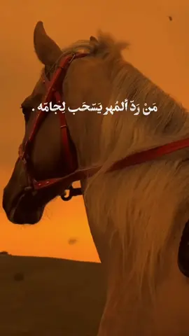 #اهل_البيت_عليهم_سلام #حمزة_الصغير🏴🖤 