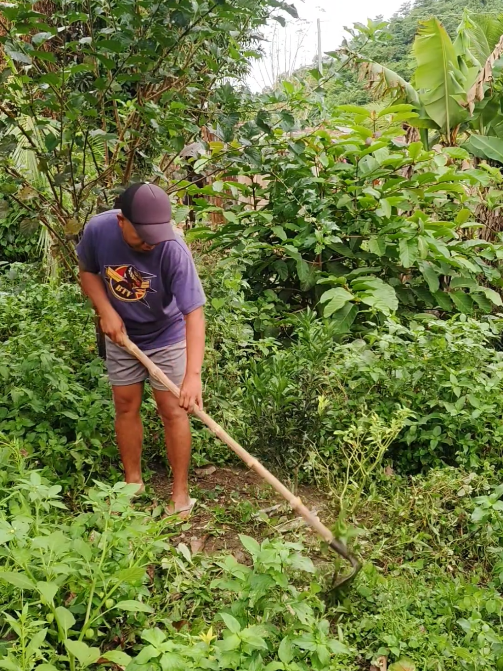 PANG GAMAS, PANG BUNGKAL NG LUPA, AT PANGGAWA NG KANAL AT MADAMI PANG IBA , ito ang gardening shovel o asarol #gardeningshovel #gardeninghoe #asarolforgardening #gardentool #gardencultivationtools 