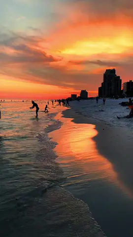 #traveltiktok #roses #sunset