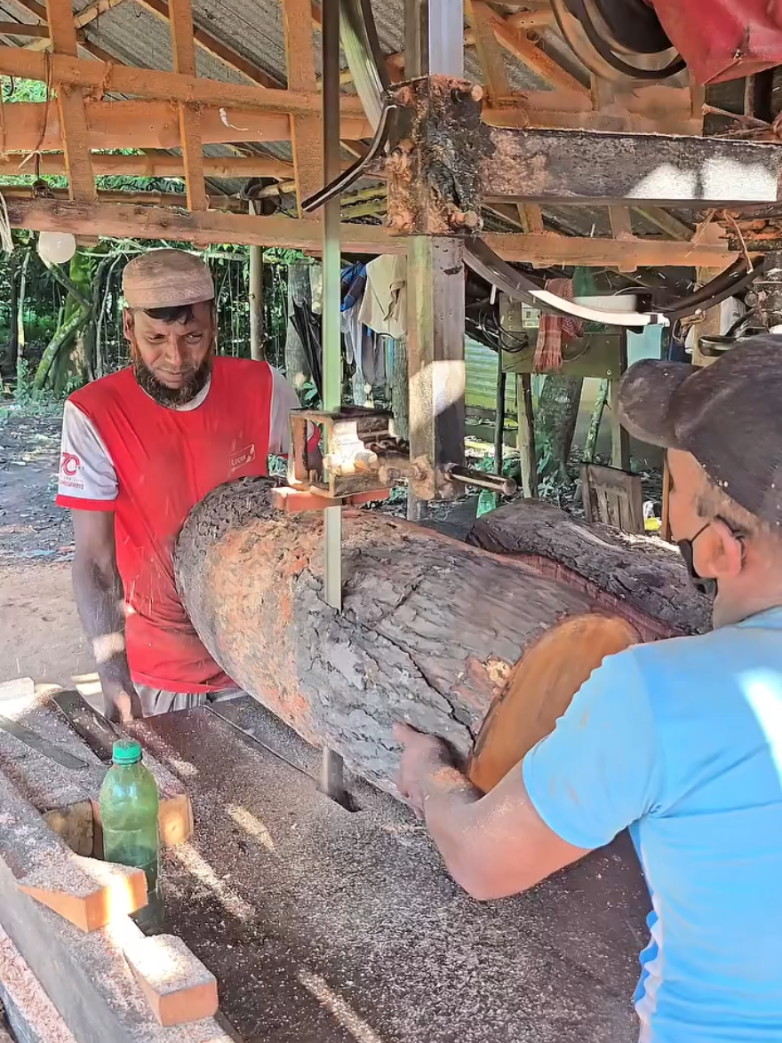 How Wooden Rails Are Made 