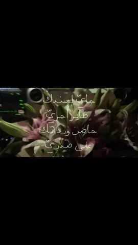 #اكسبلورexplore #sakaka #explore #e #سكاكا 