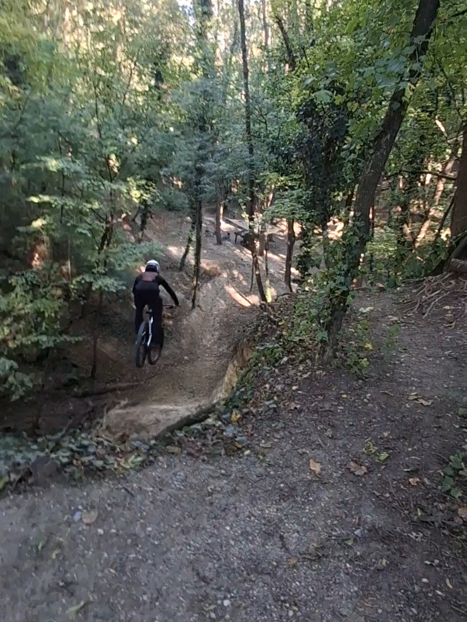 @SteezyWarthog🐗👑@RIDESHINE LIFESTYLE  #rideshine #propainrage #mtb #janoshegy #fyp 