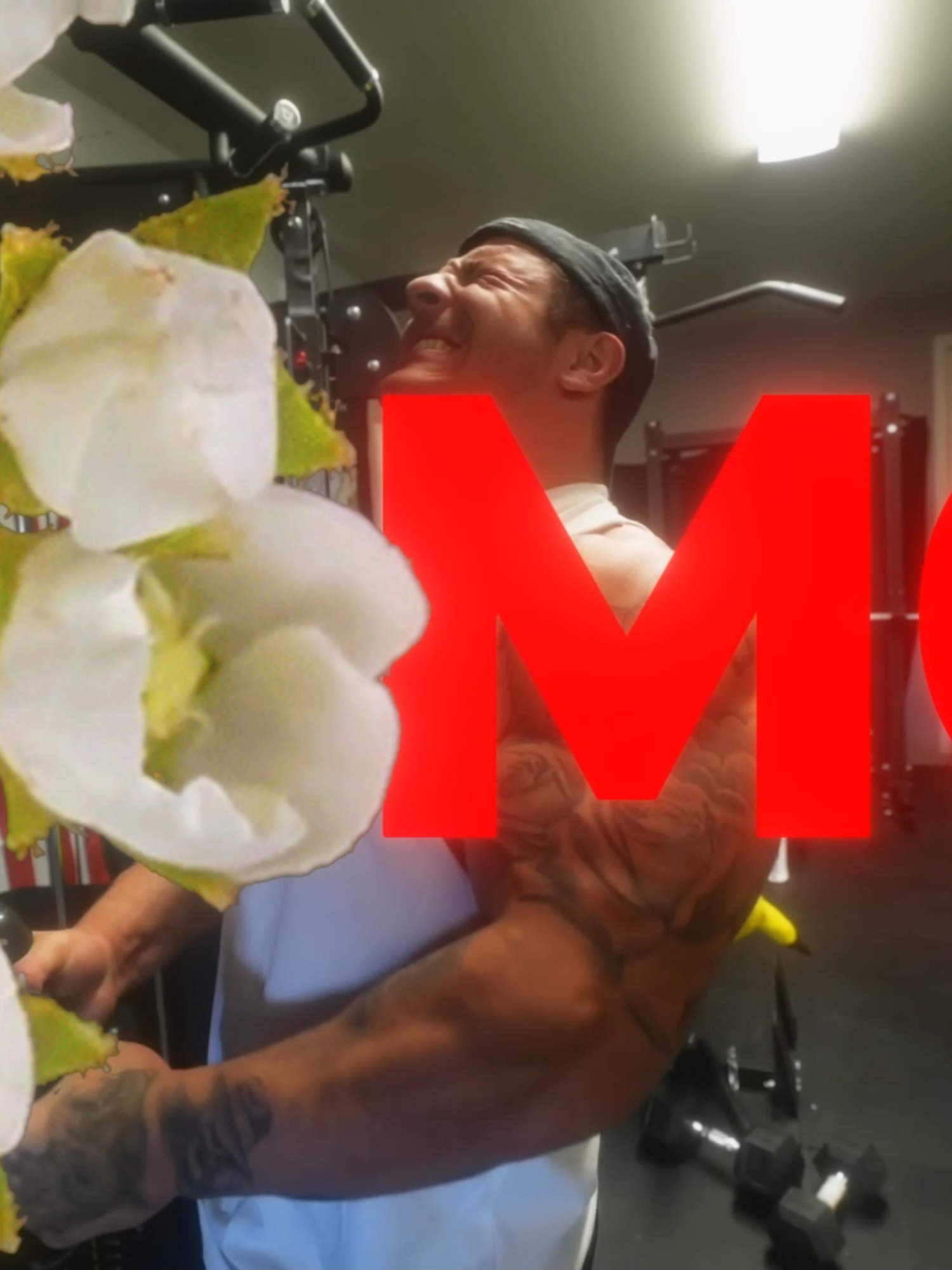 PURE PEACE || INNER SILENCE || #trentwins #gym #GymTok #bodybuilding #gymedit #gymcore #fyp