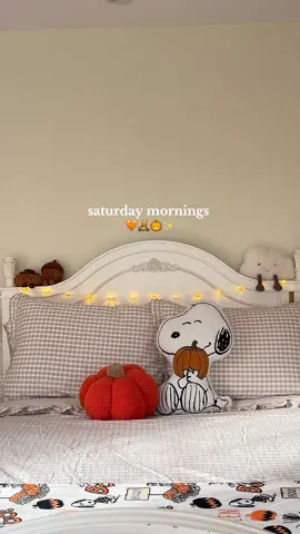 have the best day!!! 🧡#morningroutine #saturdaymorning #fallmorning #fallaesthetic #fallvibes 