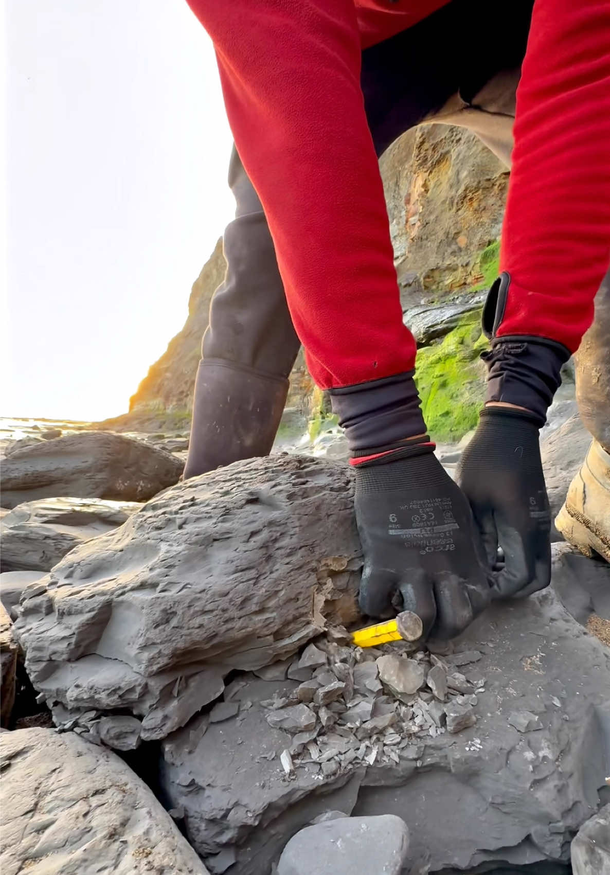 We recently discovered a limestone rock dating back to the Jurassic period and carefully opened it in search of fossils. Inside, we revealed a remarkable Belemnite, a marine fossil that lived over 180 million years ago. The stone split apart easily, uncovering this incredible piece of natural history. Exploring these ancient treasures reminds us of the fascinating stories embedded in our planet’s past. #fossilhunting #beach #ammonite #fossil #fyp