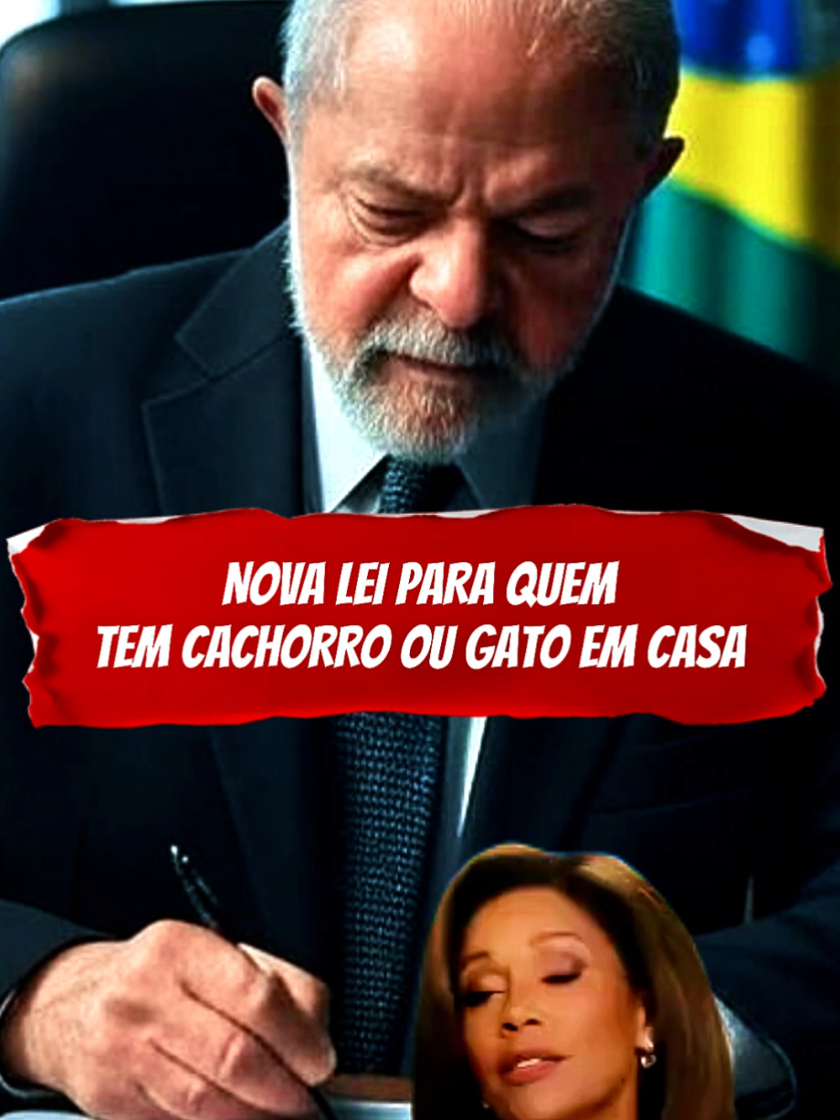 Nova taxa para quem tem cachorro e gato? Veja essa notícia #noticias #noticiastiktok #noticia #jornal 