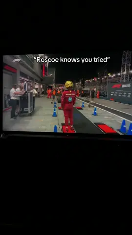 Roscoe knows he tried we all know he tried... #f1 #lewishamilton #roscoe #viral #sad 
