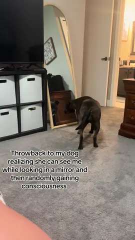 This video is so funny to me I forgot it’s existed