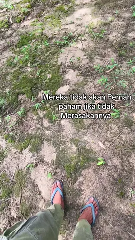 #sawitontiktok #sawitontiktok #storysawit #CapCut #bismillahfyp 