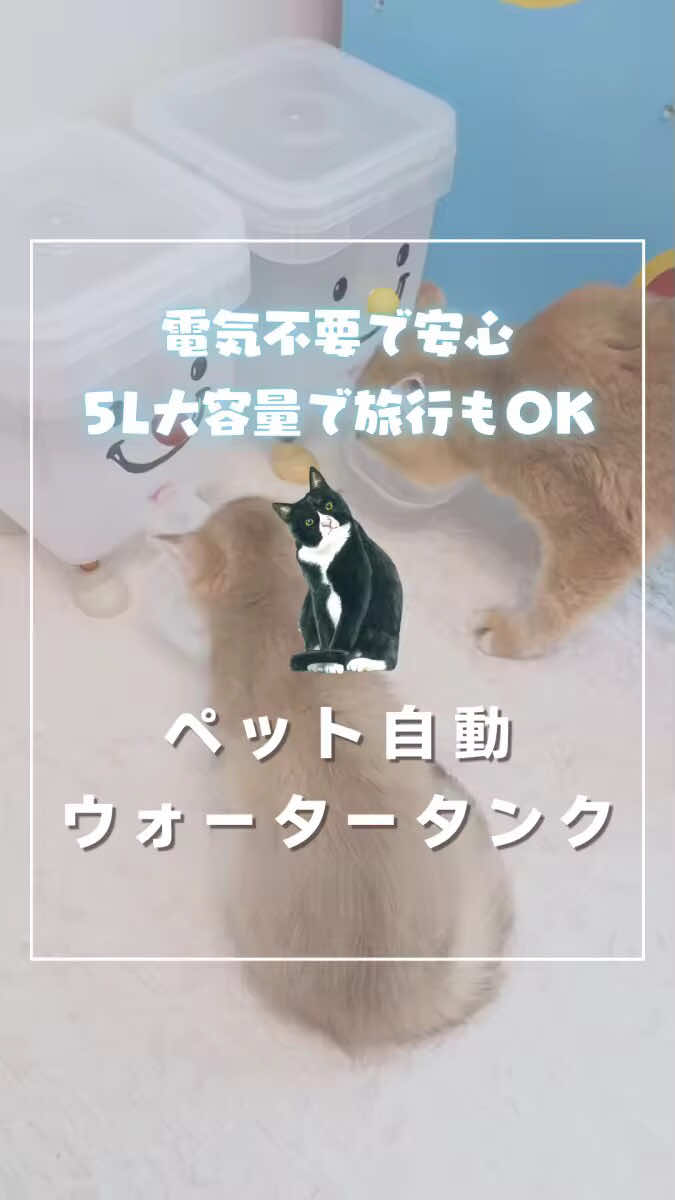 毎日のお水管理をもっとラクにしませんか？💧 この自動ペットウォーターは、電気を使わずに自動補充。 虹吸方式でいつでも新鮮な水をキープ。 5L大容量だから、外出時や多頭飼いでも安心。 蓋付きでホコリを防ぎ、シンプル構造で洗いやすい。 コスパも抜群、猫も犬も喜ぶ便利アイテムです✨ #猫  #犬  #ペットのいる生活   #ペットグッズ  #自動給水器  #猫グッズ  #犬グッズ   #ペット動画  #猫のいる暮らし  #犬のいる暮らし   #多頭飼い