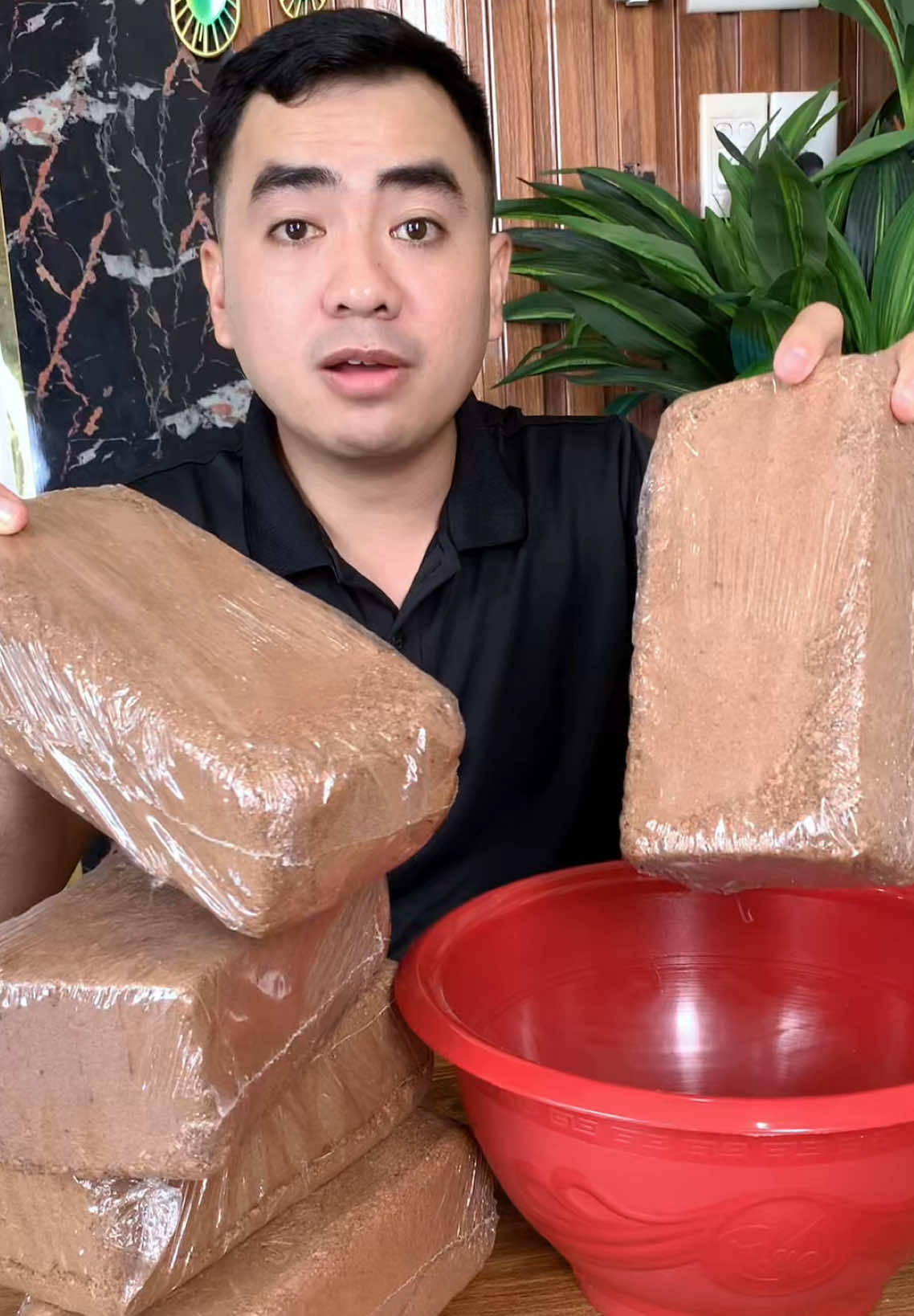 Xơ dừa đã rẻ hôm nay còn tặng thêm hạt giống F1#xoduaviennen#viennenxodua#trongcay#giadungtienich#xuhuong 