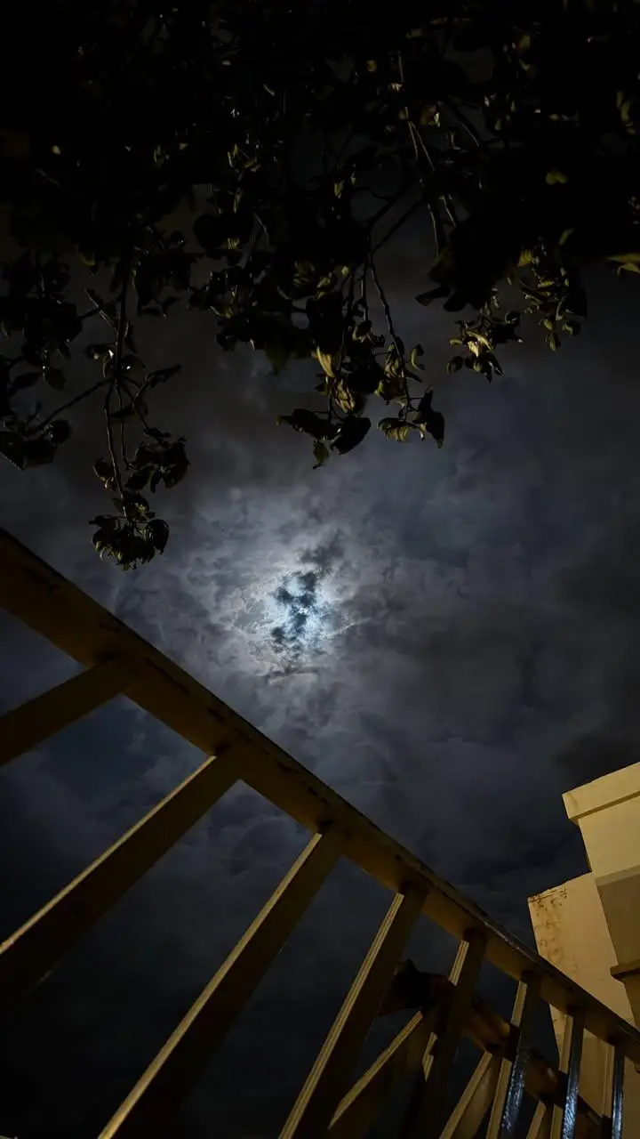 #trendingvideo #❤️‍ 